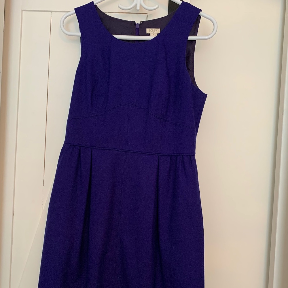 J. Crew Purple Dress (8)